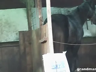 Aged farmer wife takes the hard cock in the backyard